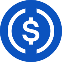 Logo kryptoměny USD Coin